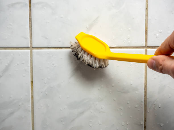 Best Mold Damage Repair  in La Conner, WA