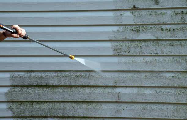 Best Attic Mold Removal  in La Conner, WA